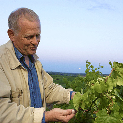 Domaine Patrick Baudouin