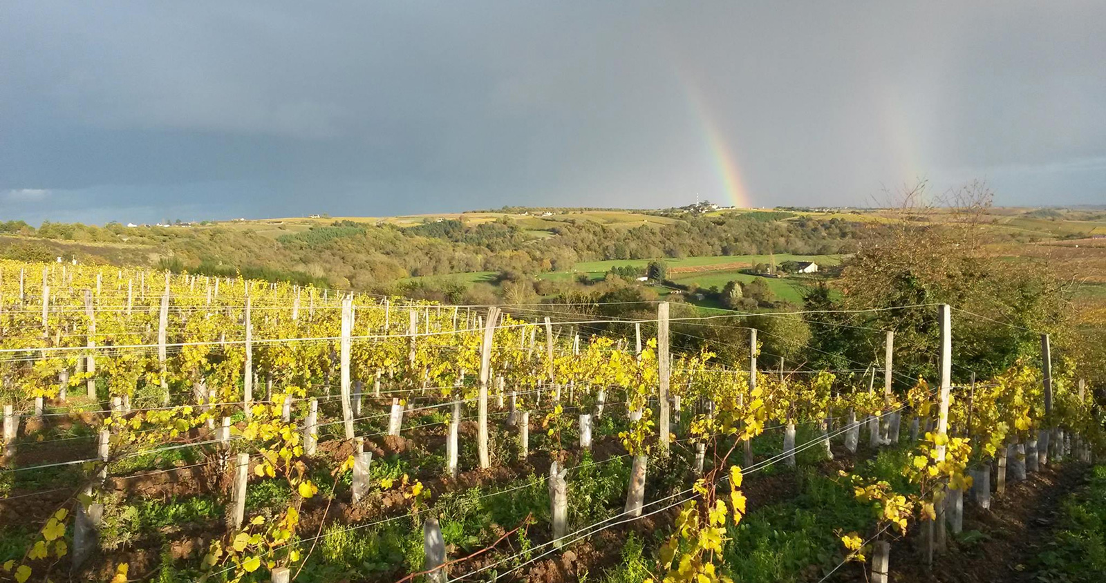 Domaine Patrick Baudouin