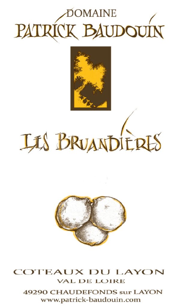 Étiquette faciale CTX Les Bruandières