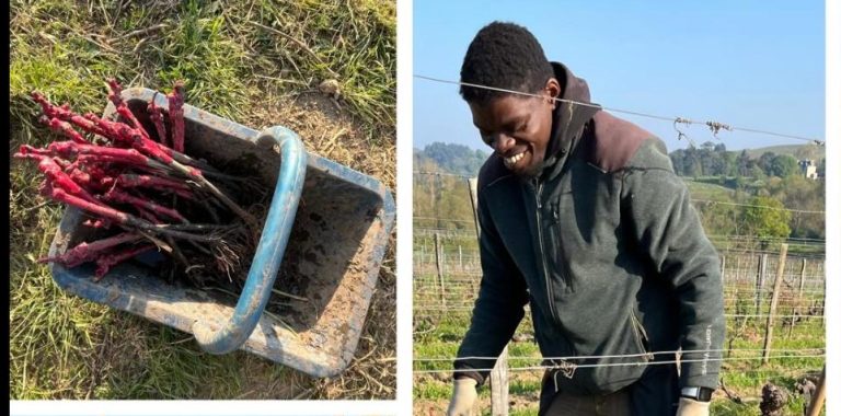 Complantation les Gâts 2025réduit